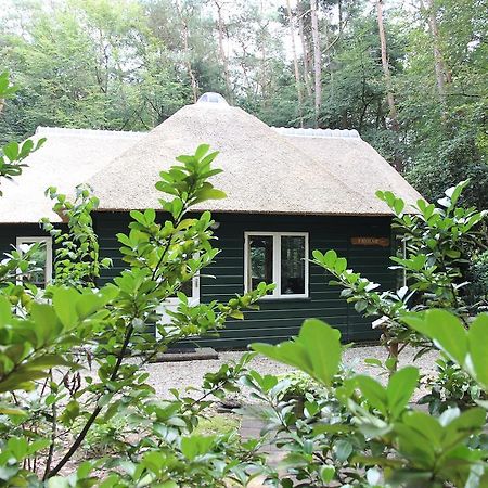 אפ Vakantiehuis 'T Musje חדר תמונה